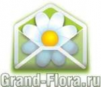 Логотип компании Доставка цветов Гранд Флора (ф-л г.Медногорск)